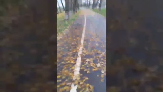 Листья жёлтые над городом кружатся 🍁 С тихим шорохом нам под ноги ложатся... смотреть онлайн