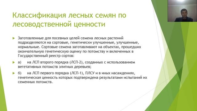 Лесное семеноводство 1 5 курс Лесное дело