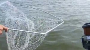 Рыбалка в Чернобыле))