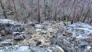 Самарская область экскурсия в Рачеевский бор