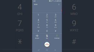 Samsung Galaxy J2 Core incoming call (Screen Video)