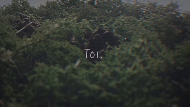 Стоп моушен?! 🙄😠Бред какой-то... Mv-как же так получается...