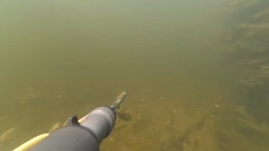 Подводная охота в краснодарских лиманах