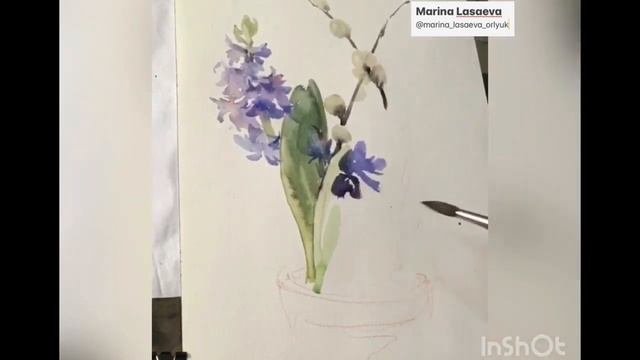 Гиацинт, акварель, watercolor flowers #акварель #watercolor