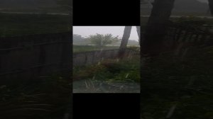 1000023388.mp4