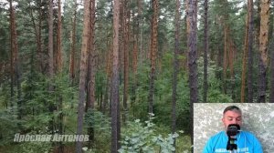 Пропaвший муж. Тайная жизнь, ставшая явной
