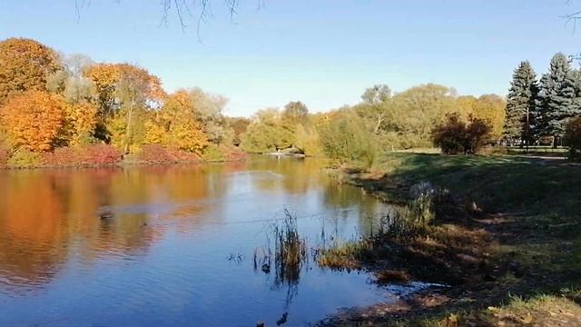 Санкт-Петербург. Южно-Приморский парк. Пруд "Восьмёрка". 21.10.2023.