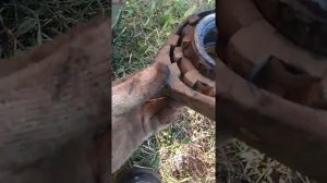Baw feniks. Замена подвесного подшипника.