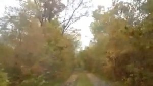 Заготовка дров на минитракторе ЗУБР