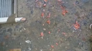 Замена радиатора отопителя Гранта