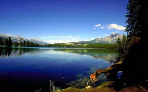 143.Квесты 13.mp4