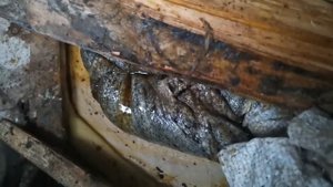 Сколько воска в одной рамке дадана