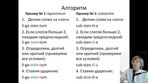 Лекция 1. Часть 4. Ударение.