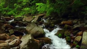 005-Жизнь в загробном мире.