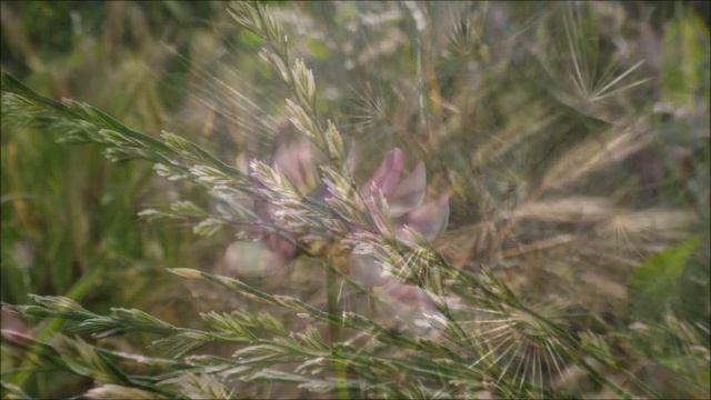 Июнь 8, 2023 года. Поёт Эдита Пьеха. смотреть онлайн