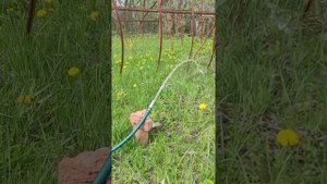 Насосная станция так качает воду после ночи