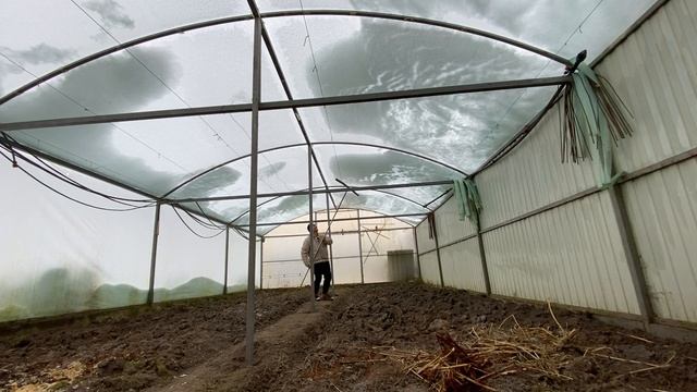 Большая дешевая теплица 6х12 м из профтрубы смотреть онлайн