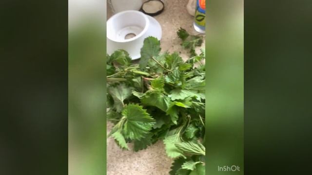 Забытое средство для укрепления волос