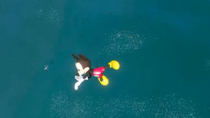 GTA 5 Mickey Mouse vs Minnie Mouse Water Ragdolls & Fails Ep.8 [Euphoria Physics]