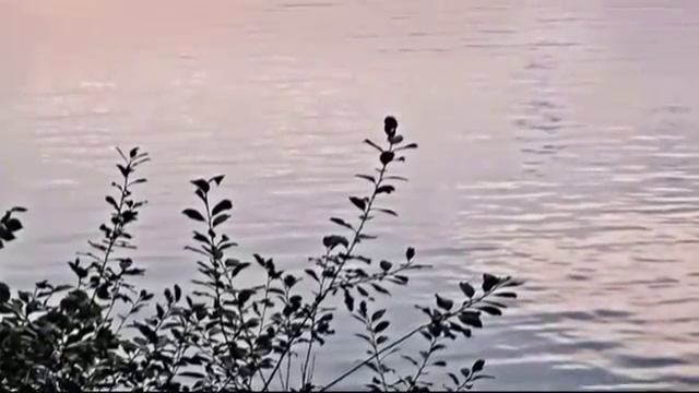 Шуберт Ф. Вечерняя серенада