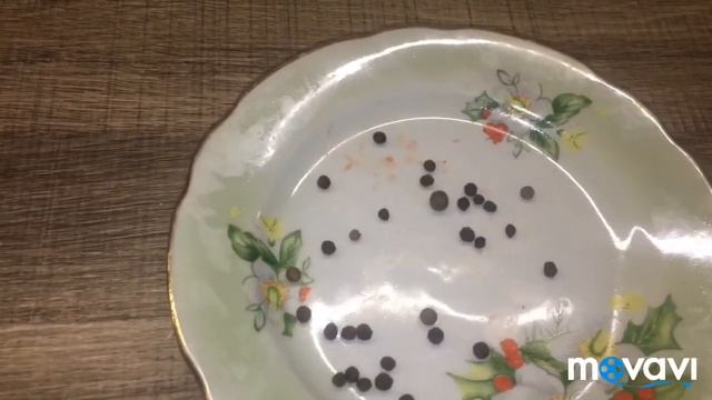 Эксперимент! Тушёнка из перепелов без автоклава !