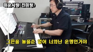 미운사랑(진미령)