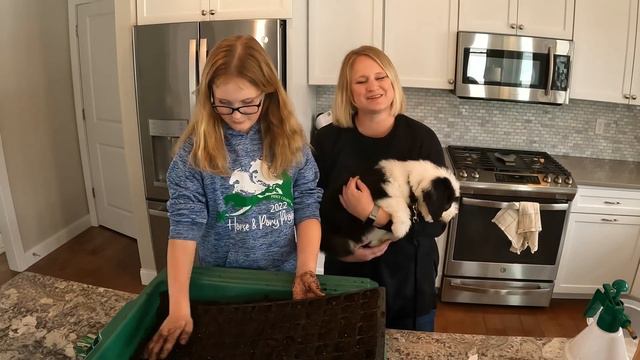 Save Money - Start Petunias From Seed! смотреть онлайн