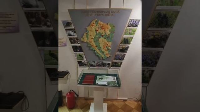 6а класс - Патриотическое воспитание