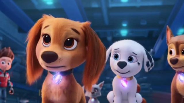 Щенячий патруль.