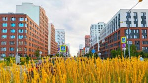 Walking in Ekaterinburg. City in the park. Solnechny microdistrict |4K| - Summer 2023 (August)