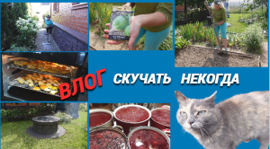 ВЛОГ/Скучать некогда/Покрасила дорожку/Варенье из огурцов/Поставила вино/Дела по саду