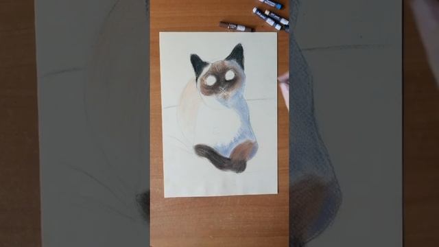 Кот пастелью поэтапно - рисуем и учимся смотреть онлайн