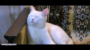 Мы вдвоем /Алексей и Дарья Свадьба в Питерке