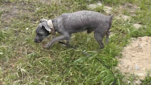 Василий. смотреть онлайн