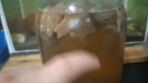 ХЛЕБ И СУХАРИ ДЛЯ ДОМАШНЕГО КВАСА.  Из какого ? хлеба (сухарей) получается вкусный квас.