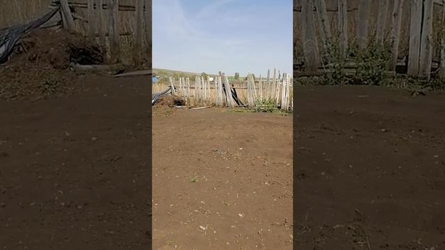 10 мая рассада на сегодняшний день смотреть онлайн