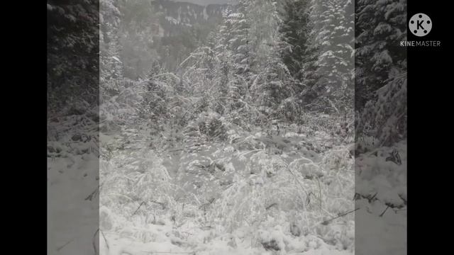 No Words - in the forest (музыка для души "Без Слов - в лесу" смотреть онлайн