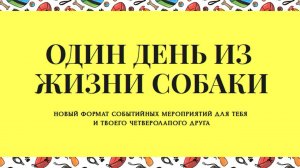 Семинар «Один день из жизни собаки»