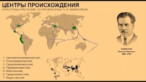 Видеолекция. Селекция и семеноводство. Заостровных В.И.