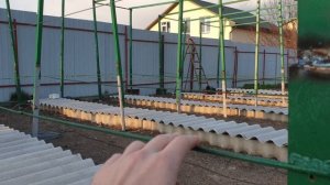 Виноградная шпалера своими руками DIY