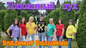 Владимир Волынкин и шоу-группа Вернисаж-Тополиный пух