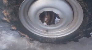 Оторвалось колесо в тракторе Скаут 504