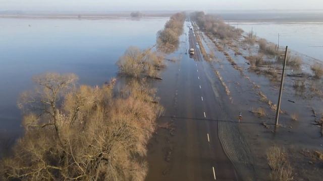 Ока, половодье 2023, перелив через дорогу Красная Пойма - Дединово.