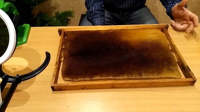 вощина из парафина, цвет воска и его свойства, гибель расплода на фальсификате смотреть онлайн