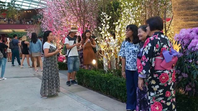 Flower Dome: Sakura Matsuri 2018 VID190927-050418 смотреть онлайн