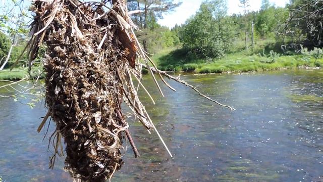 Что за ЧУДО"?????? смотреть онлайн