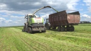 Уборка сенажа 2021: Claas Jaguar 870,John Deere 6750,МТЗ 3522,МТЗ 2022,МТЗ 1221,МТЗ 82,МАЗ 5551