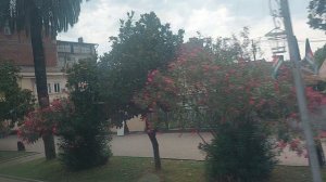 г. Сухум (Абхазия) / Вид из авто на центр города