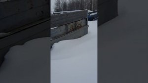 Проходимость трактора т40 по глубокому снегу.  20.02.23г.