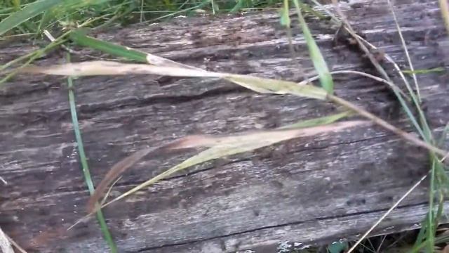 Безлимитный трафик смотреть онлайн